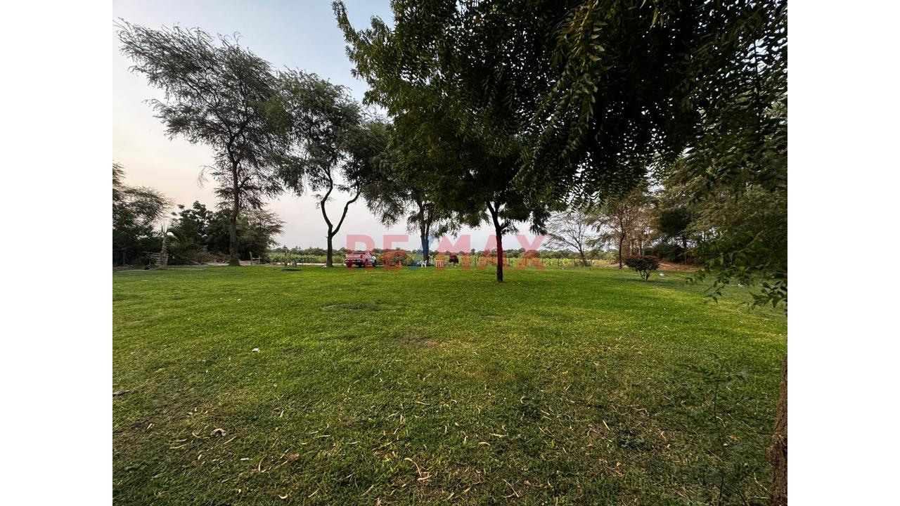 🌳 Amplio Terreno En Ejidos – 3,888 M² | Ideal Para Restaurante Campestre - 1