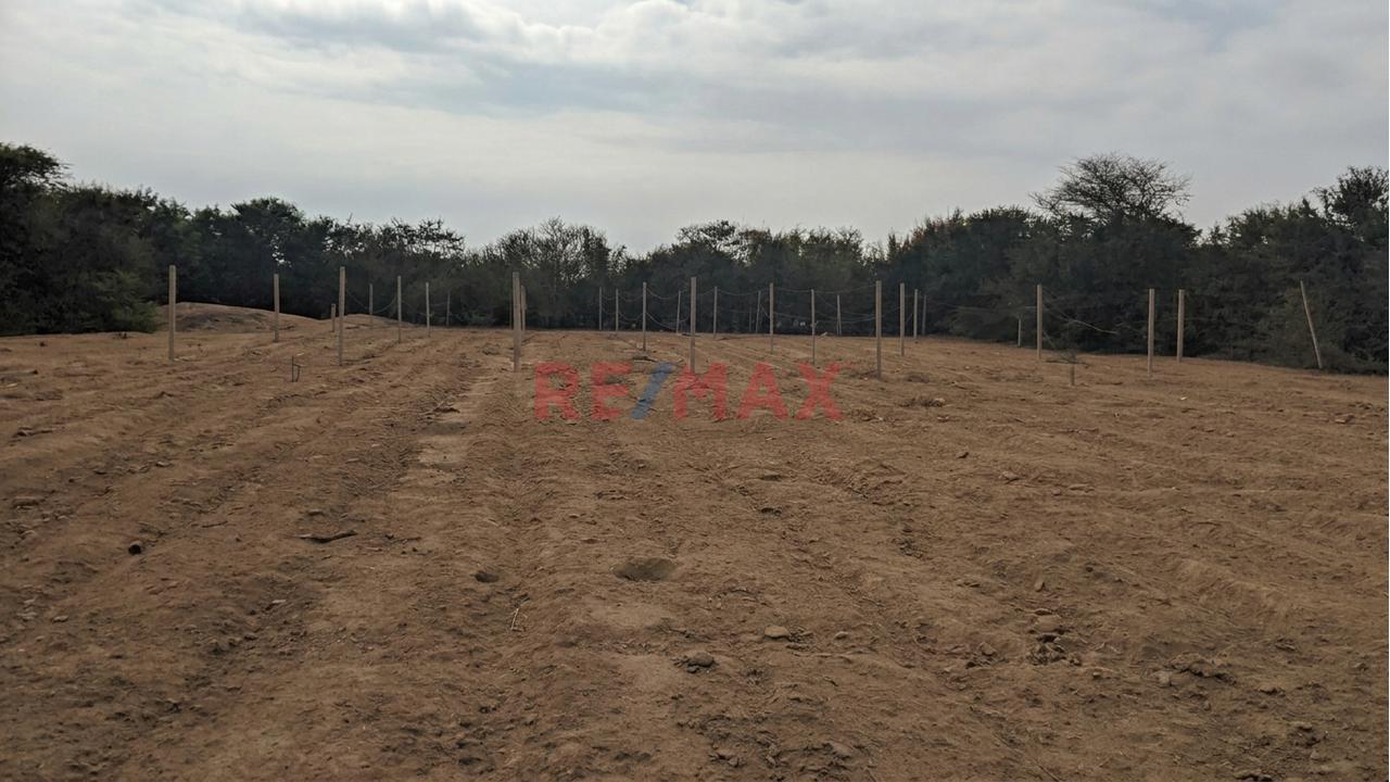Terreno Agrícola De 3,000 M² Con Excelente Potencial De Inversión - 4