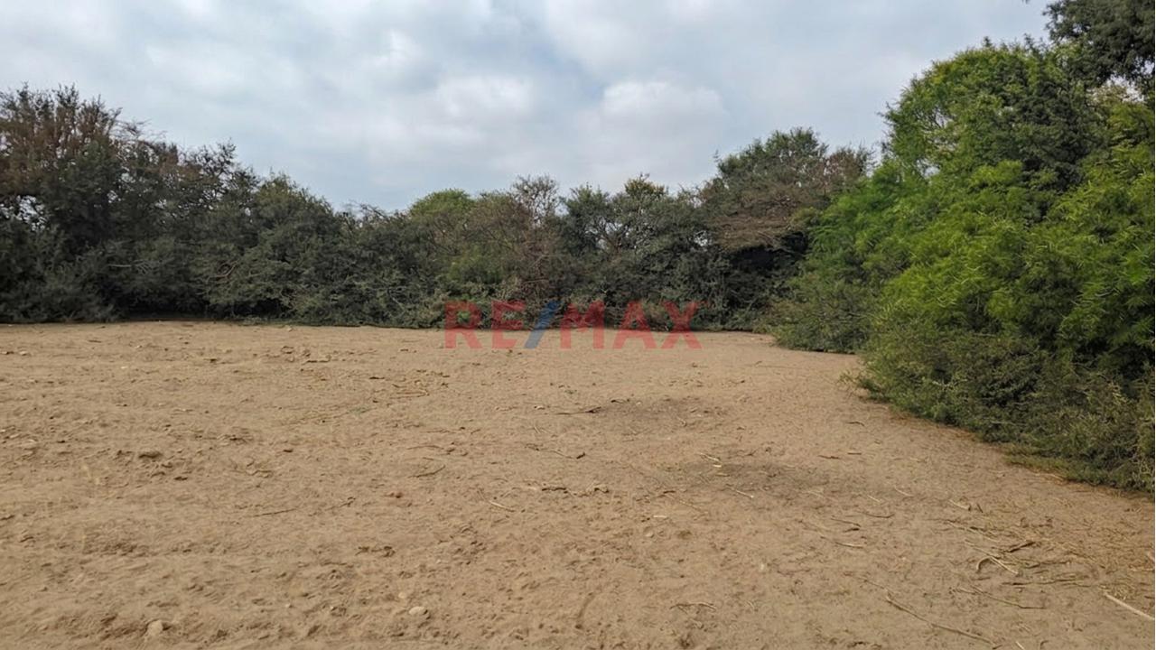 Terreno Agrícola De 3,000 M² Con Excelente Potencial De Inversión - 6