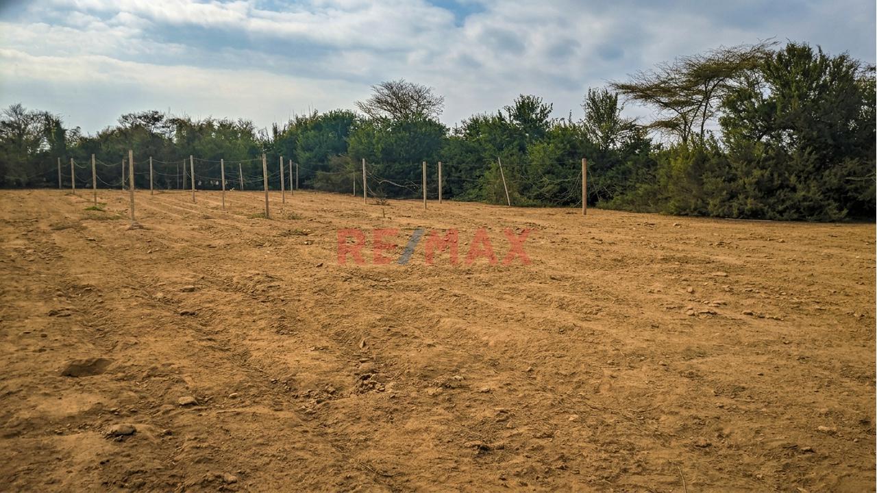 Terreno Agrícola De 3,000 M² Con Excelente Potencial De Inversión - 1
