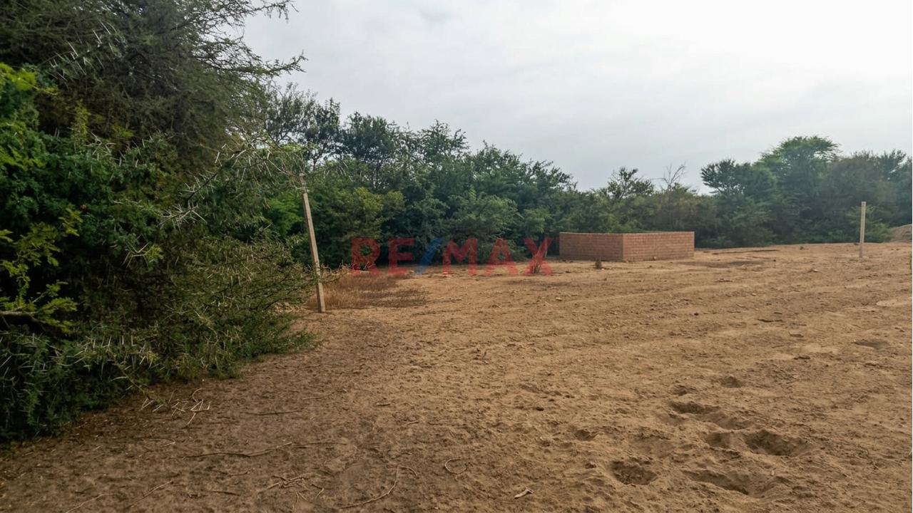 Terreno Agrícola De 3,000 M² Con Excelente Potencial De Inversión - 2