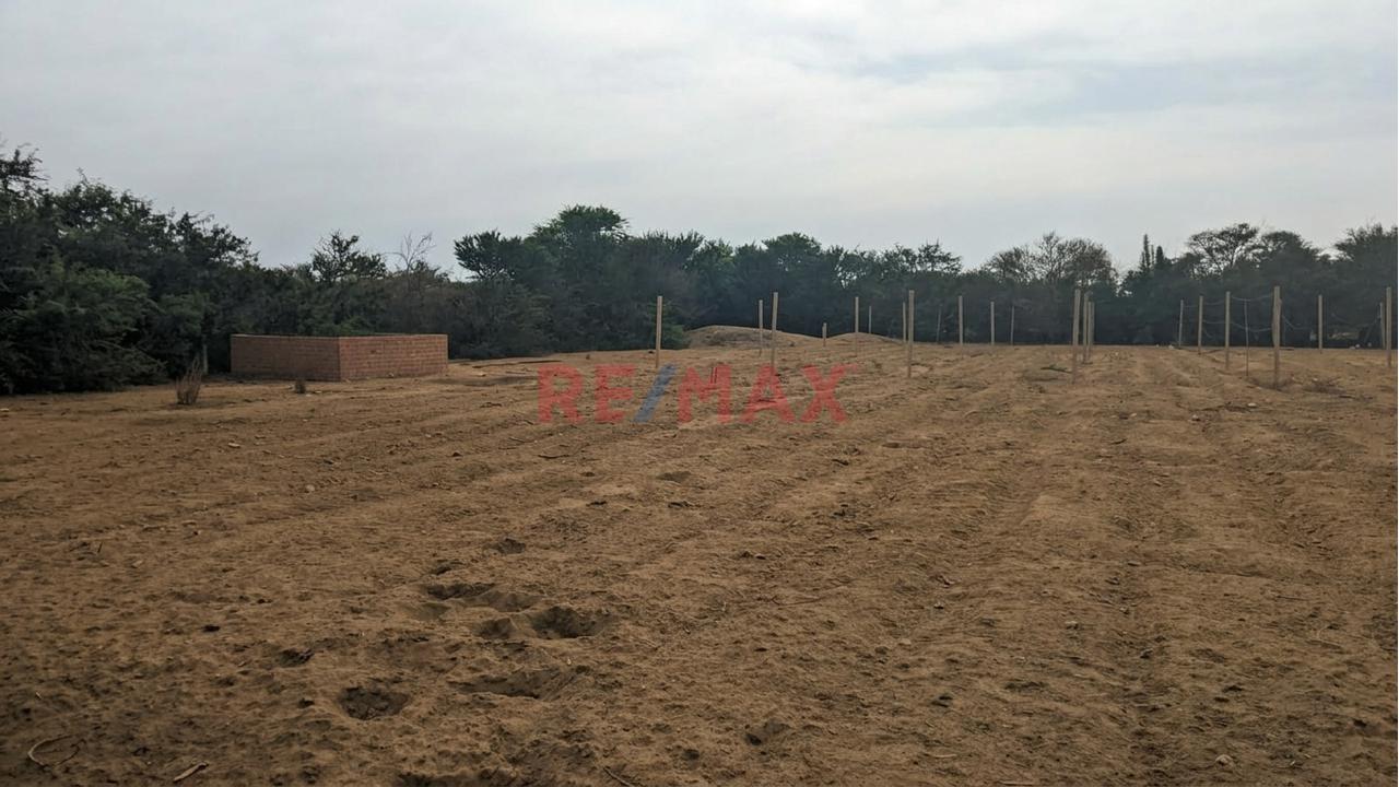 Terreno Agrícola De 3,000 M² Con Excelente Potencial De Inversión - 3