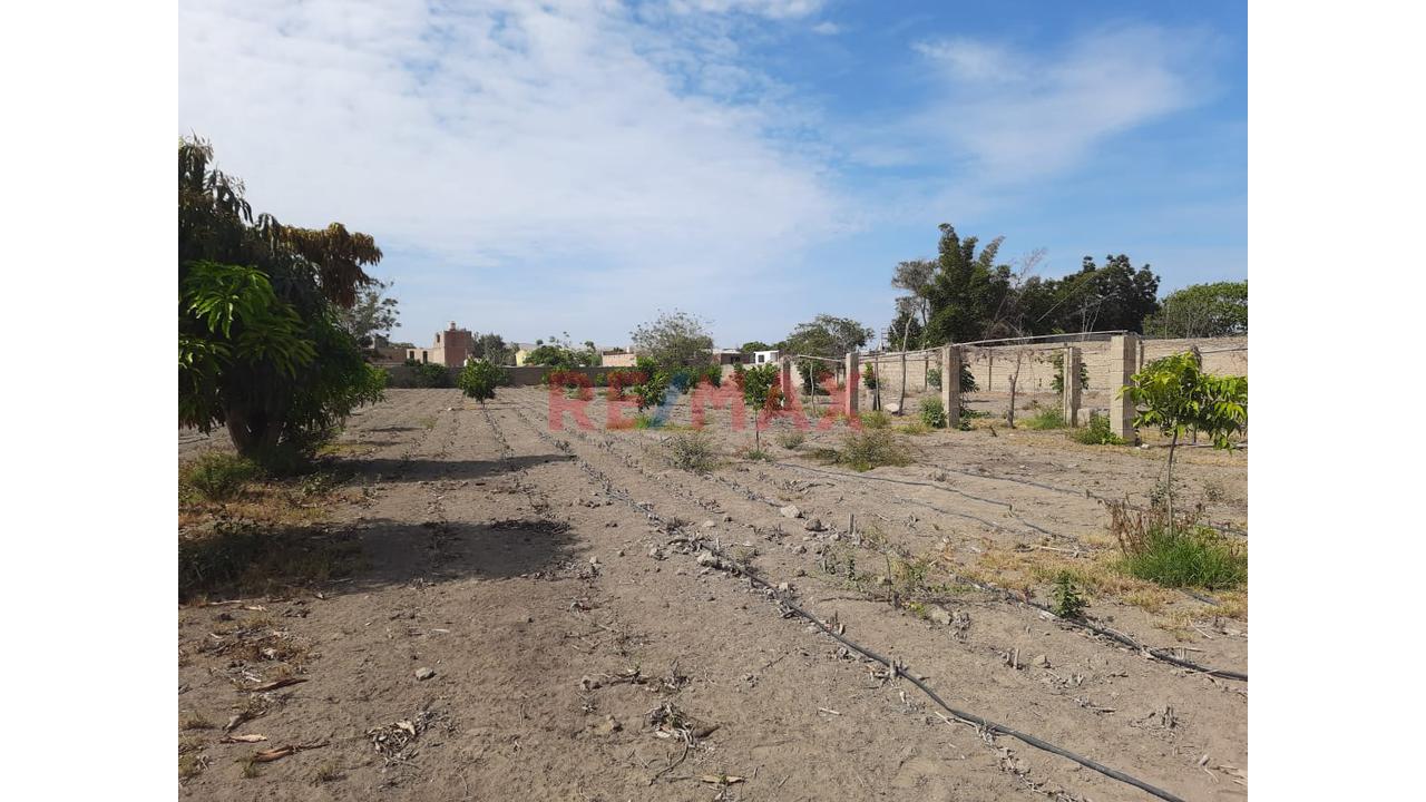 Oportunidad Estratégica De Inversión: 9,300 M² Con Acceso Privilegiado A Plaza De Luriama Y Casa De Campo – Huacho - 11