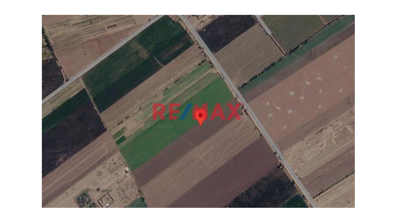 Venta De Terreno Agrícola En Distrito De San Luis - Cañete, Casablanca /Proyecto Tupac Amaru - 1