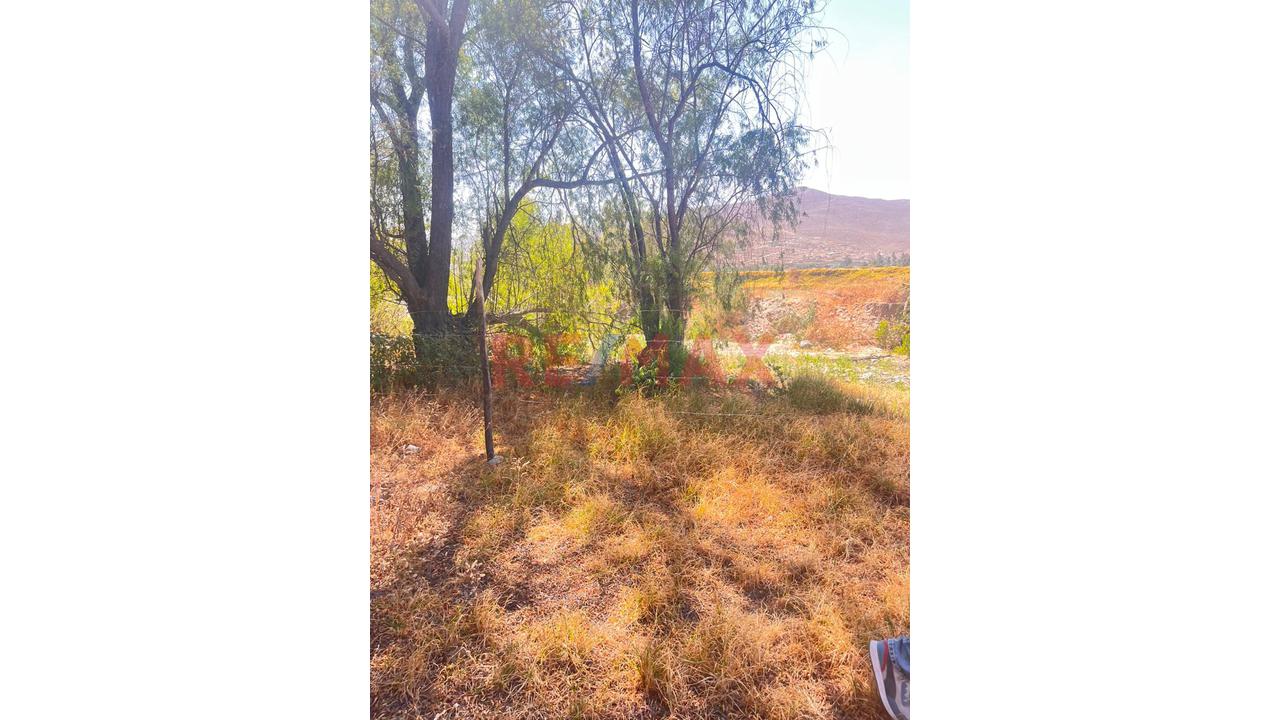 🌿 Terreno En Yarabamba | Naturaleza Y Tranquilidad - 3