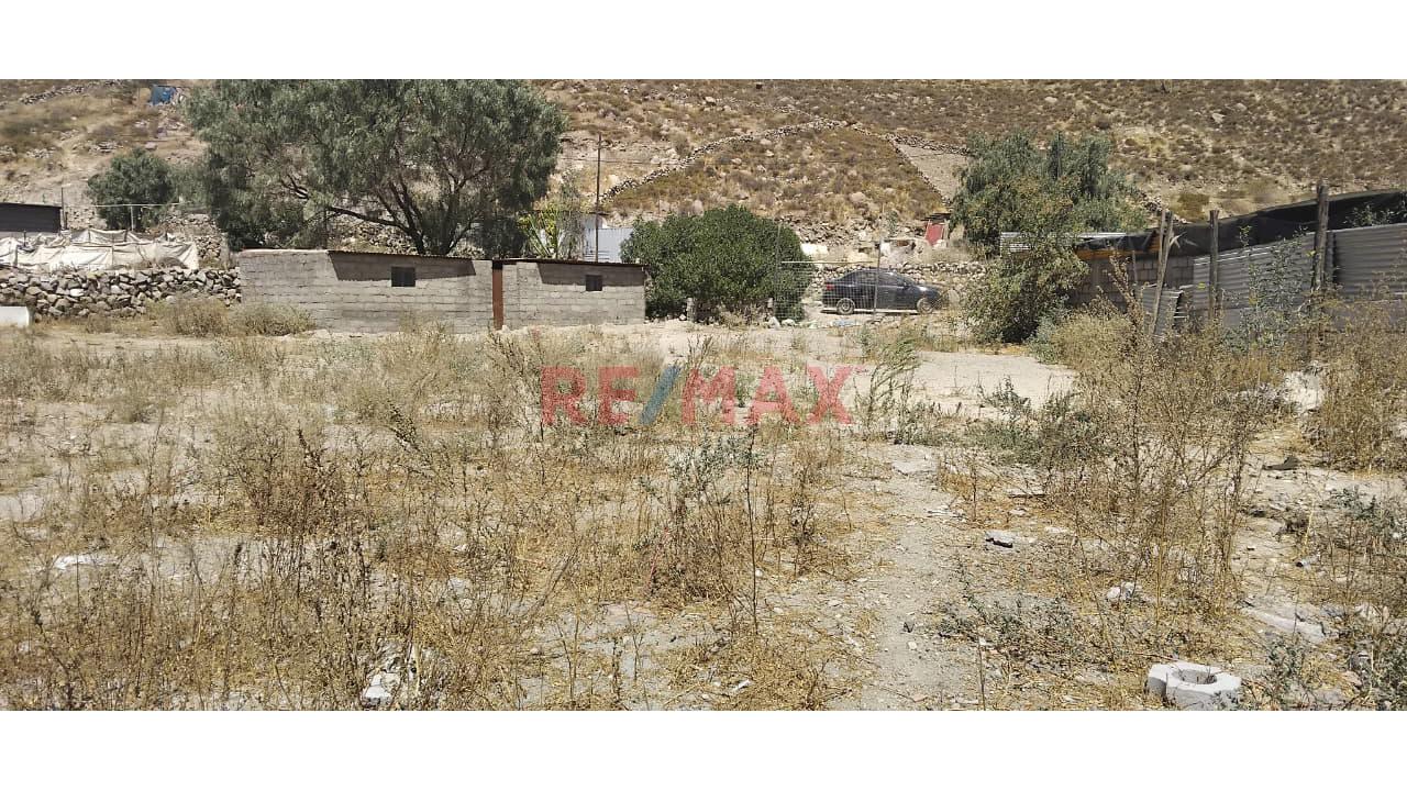 Terreno De 1559 M2 En Chiguata – Arequipa - 4