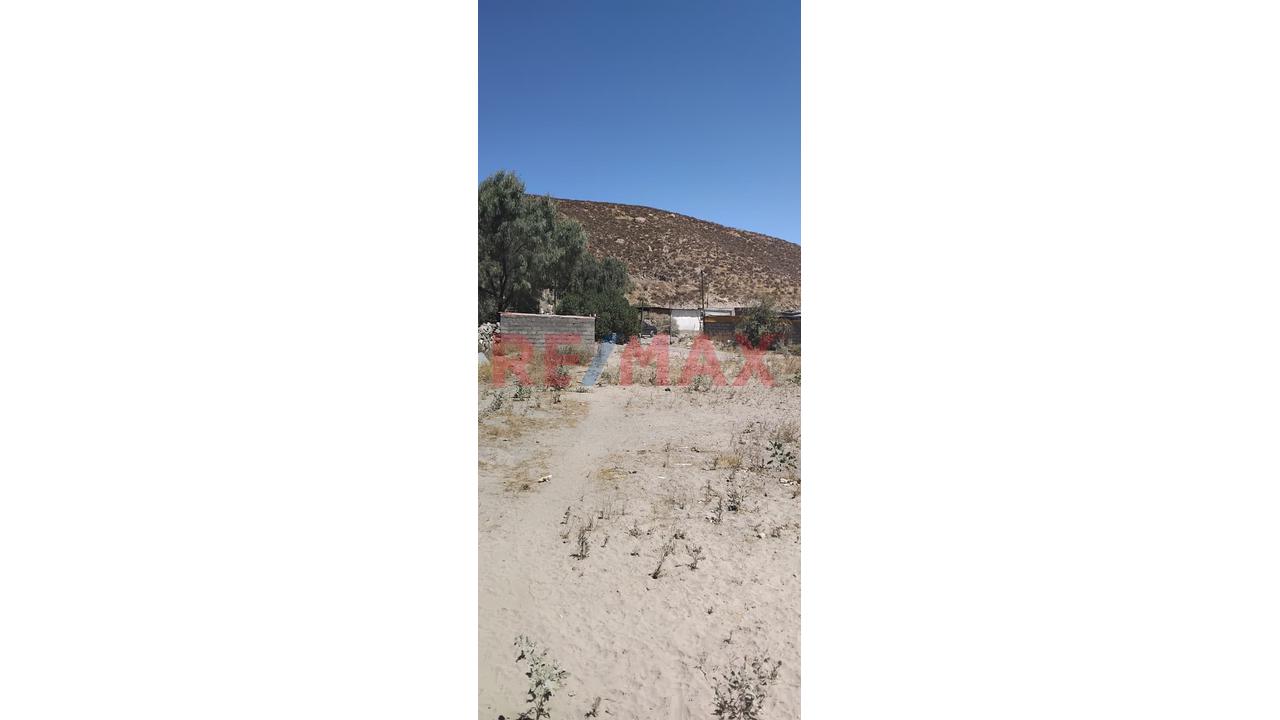 Terreno De 1559 M2 En Chiguata – Arequipa - 2