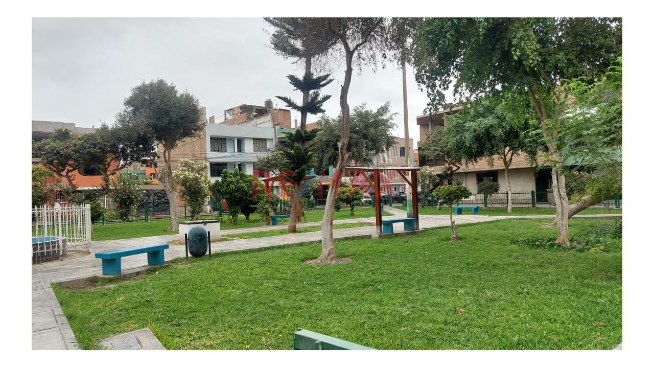 Venta De Local Comercial En Los Olivos - 13