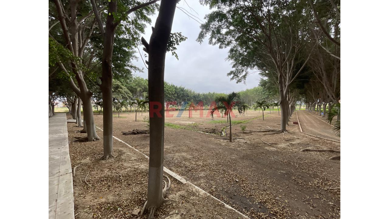Venta De Terreno 150,205 M2 Urbano, Comercial, Residencial Y Con Gran Potencial Económico (Pre Proyecto Country Club + Centro De Esparcimiento) - 15
