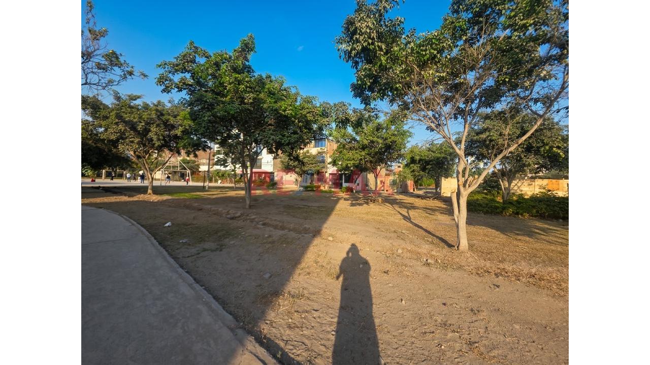 🌳 Casa Con Doble Frente A Parques En San Pedro | Ideal Para Vivienda E Inversión — foto 7