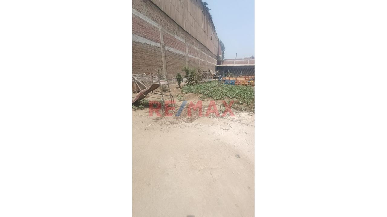 Alquilo Terreno Industrial En Chacracerro Comas Cerca A La Panamericana Norte - 9