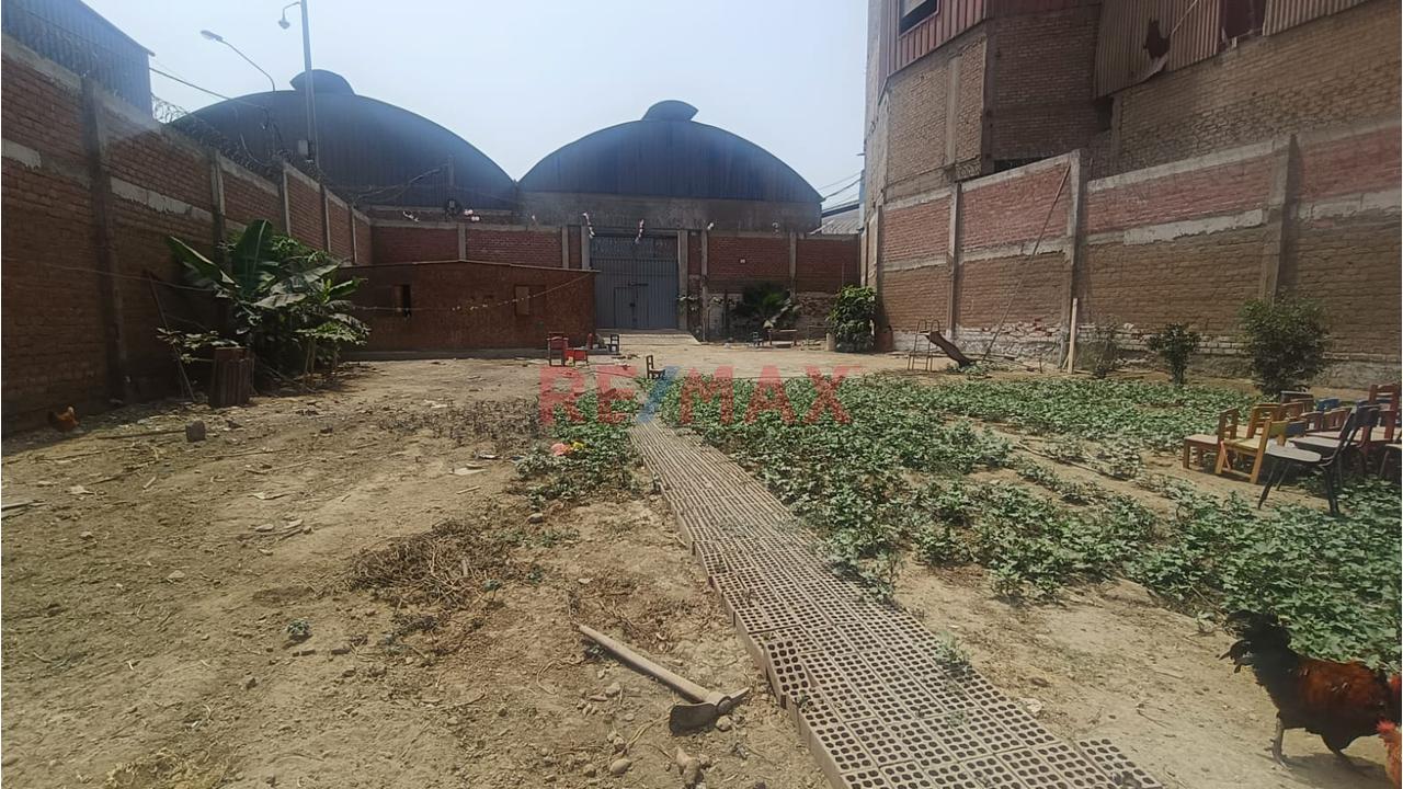 Alquilo Terreno Industrial En Chacracerro Comas Cerca A La Panamericana Norte - 4