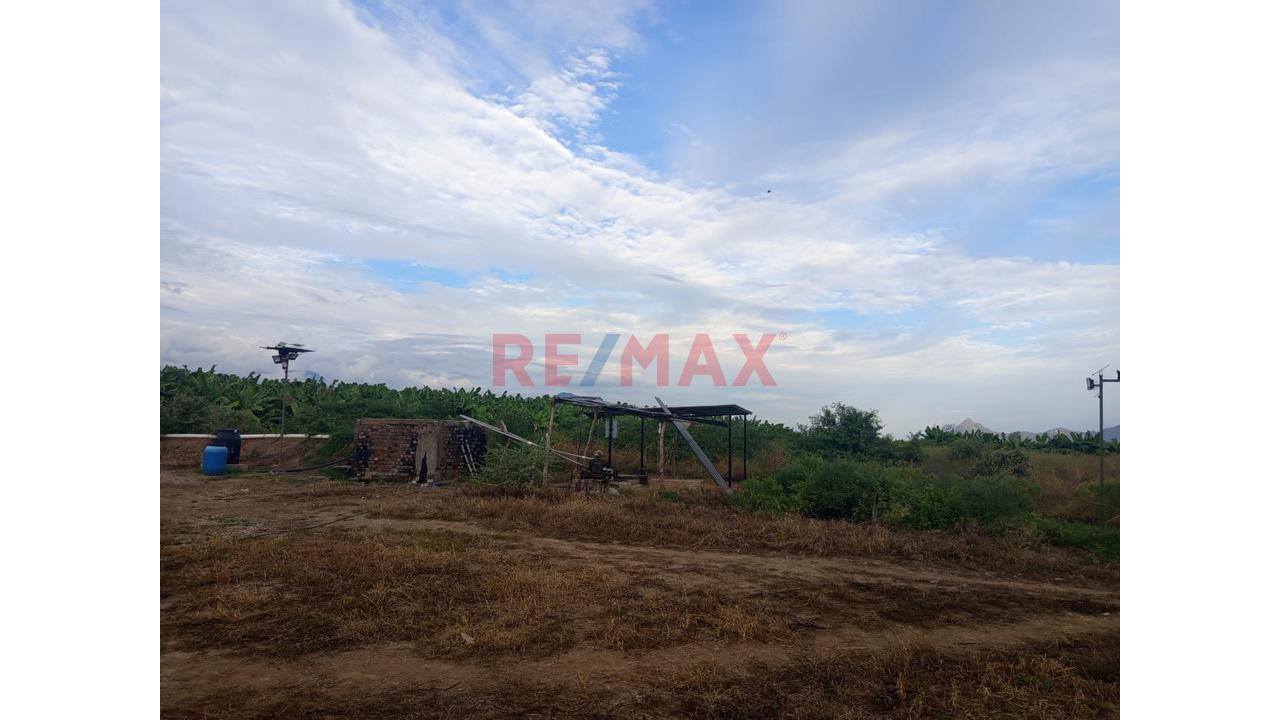 🌱🌄Parcela Agrícola En Chulucanas – Lista Para Producir A Excelente Precio: S/. 40,000 Por Ha 🚜💧 - 6