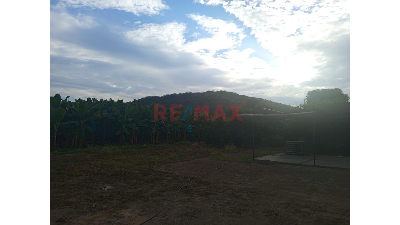 🌱🌄Parcela Agrícola En Chulucanas – Lista Para Producir A Excelente Precio: S/. 40,000 Por Ha 🚜💧 - 4