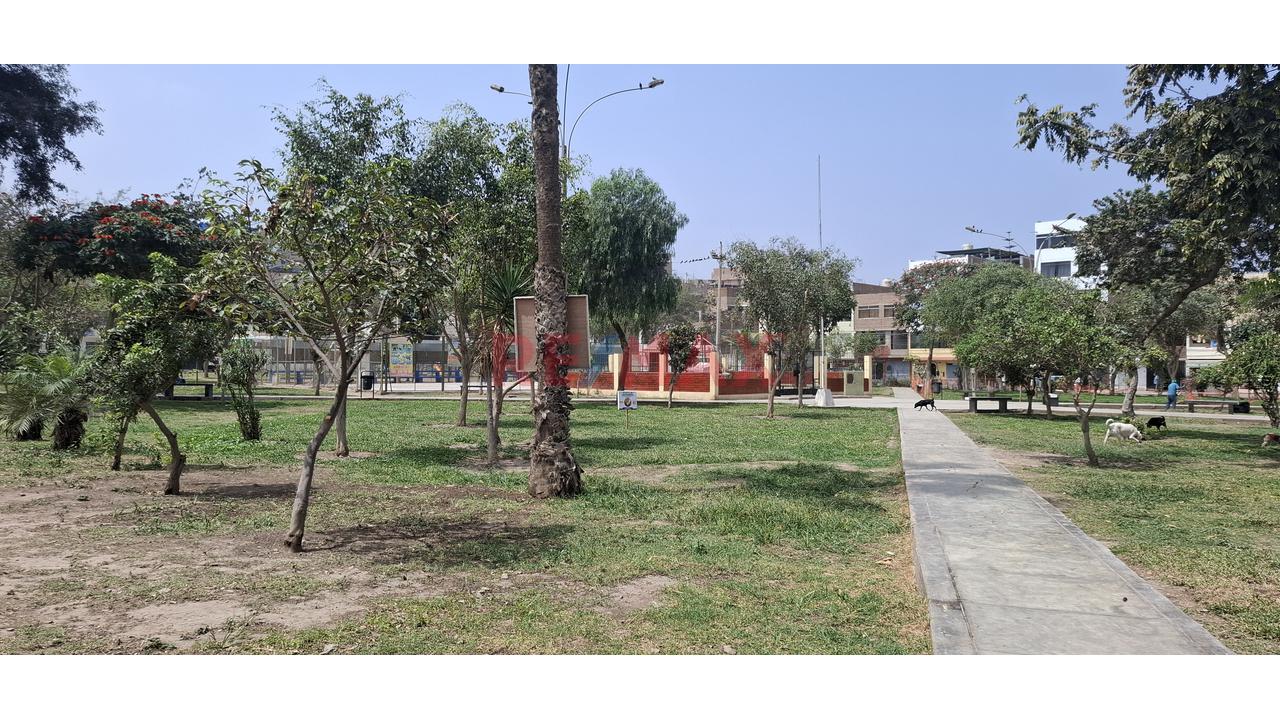 En Venta Casa En Plena Avenida, En Vipol De Naranjal, San Martín De Porres — foto 8