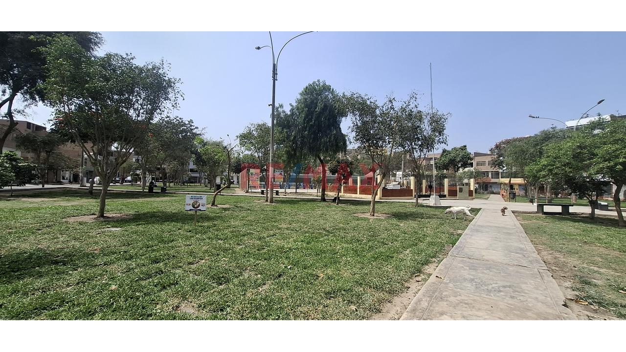En Venta Casa En Plena Avenida, En Vipol De Naranjal, San Martín De Porres — foto 9