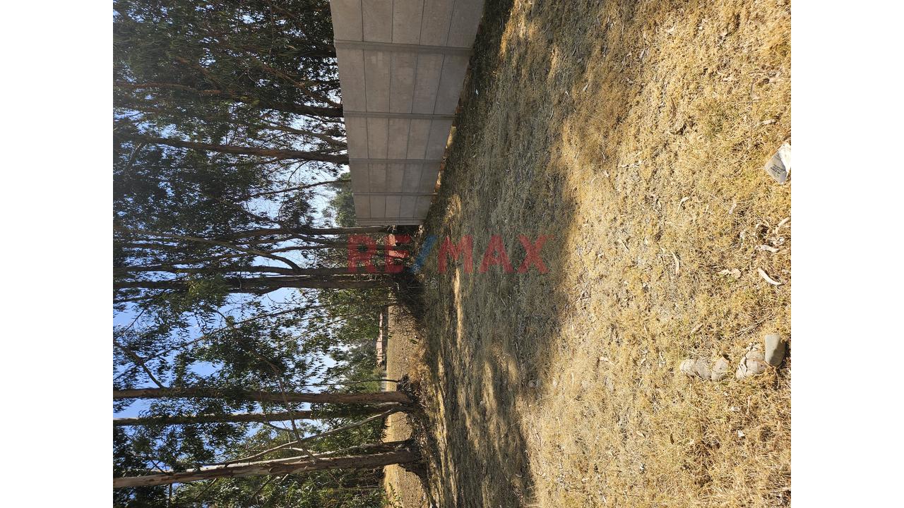 Terreno En Venta - Los Portales — foto 3