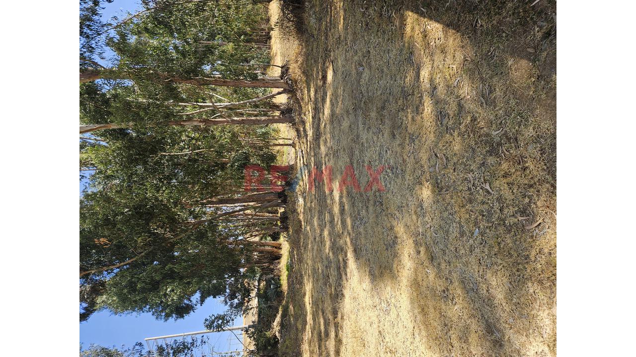 Terreno En Venta - Los Portales — foto 4