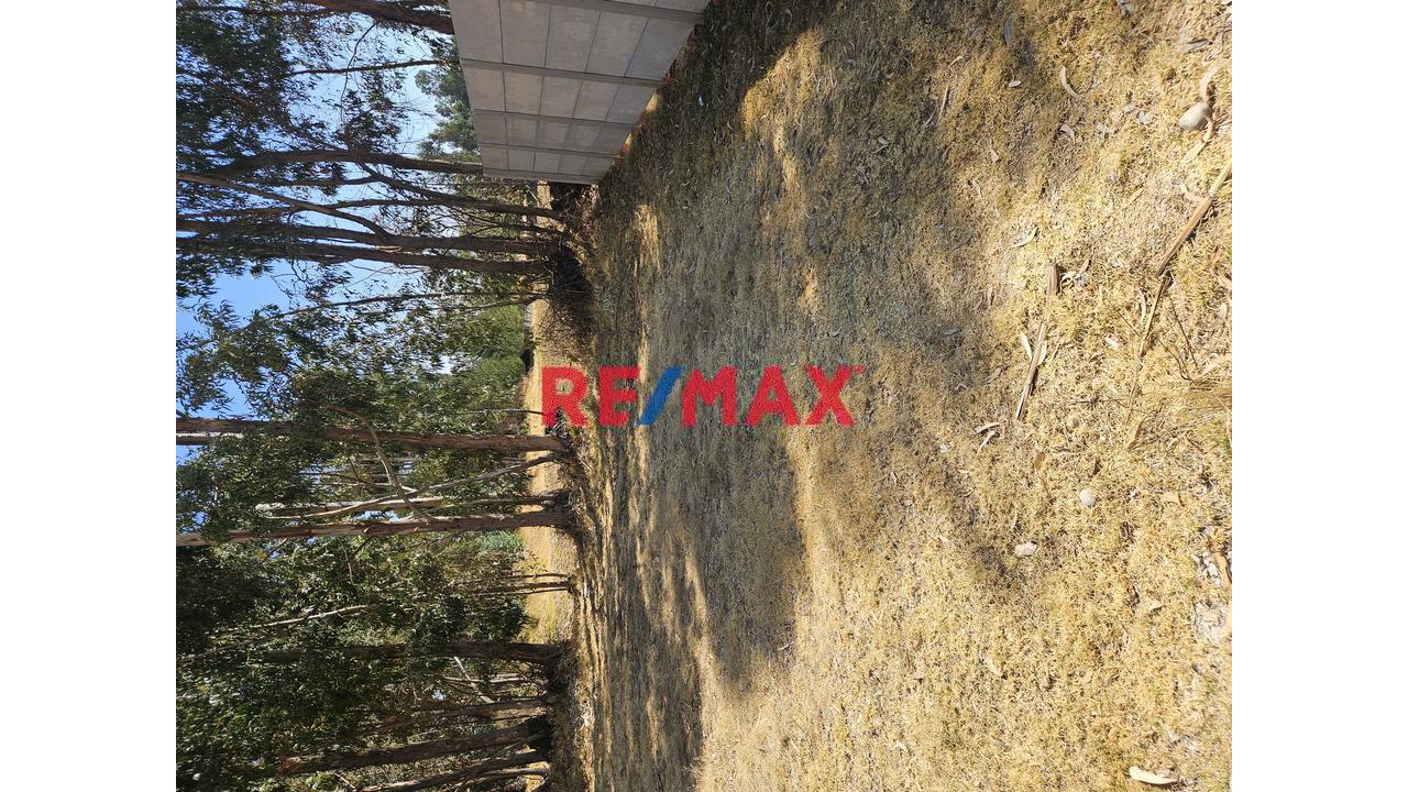 Terreno En Venta - Los Portales