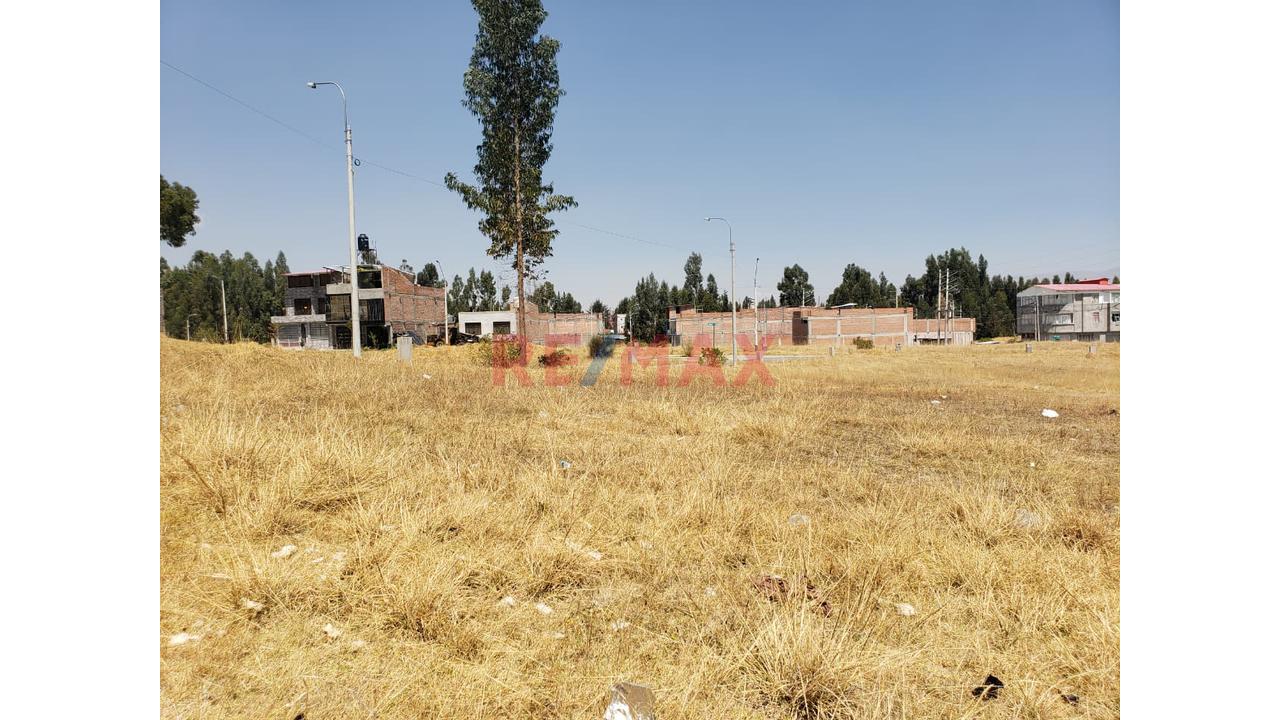 🚨 ¡Invierte Hoy En Una Zona Con Gran Potencial De Crecimiento! 🚨 — foto 5