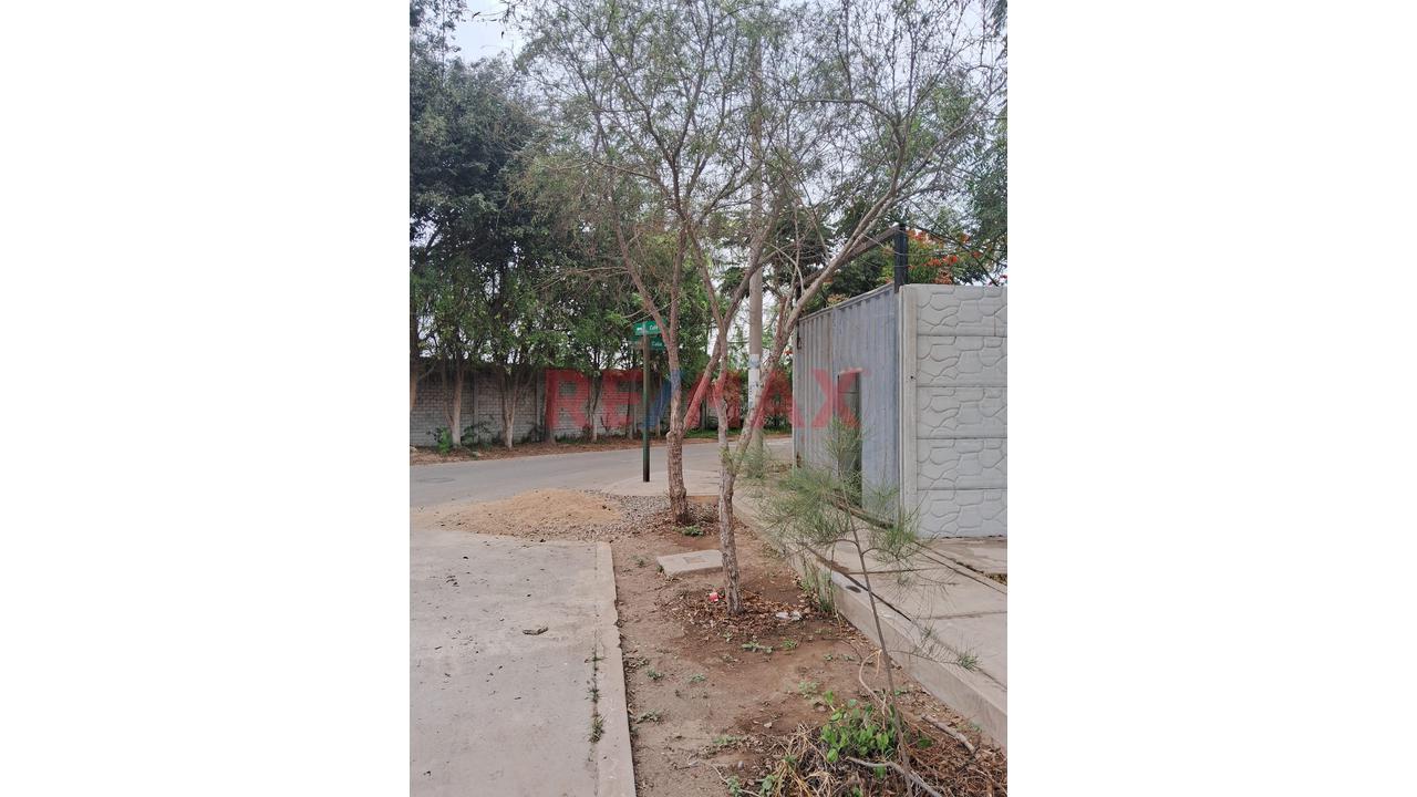 Se Vende Terreno 4 Frentes Rodeado De Parques-Villa Verde Pachacamac — foto 3
