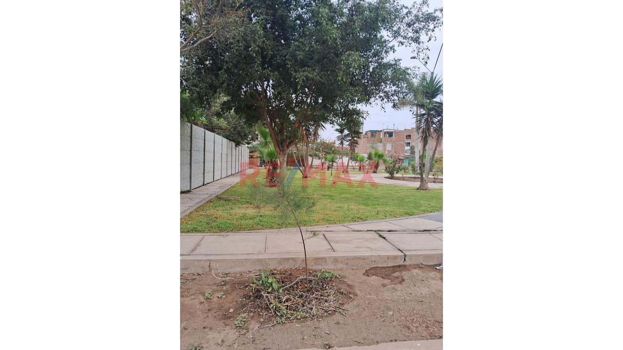Se Vende Terreno 4 Frentes Rodeado De Parques-Villa Verde Pachacamac — foto 4
