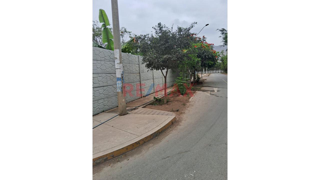 Se Vende Terreno 4 Frentes Rodeado De Parques-Villa Verde Pachacamac — foto 9
