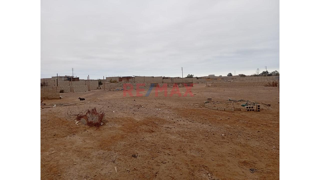 Venta De Terreno Agricola       Area 8,152M2 - 2