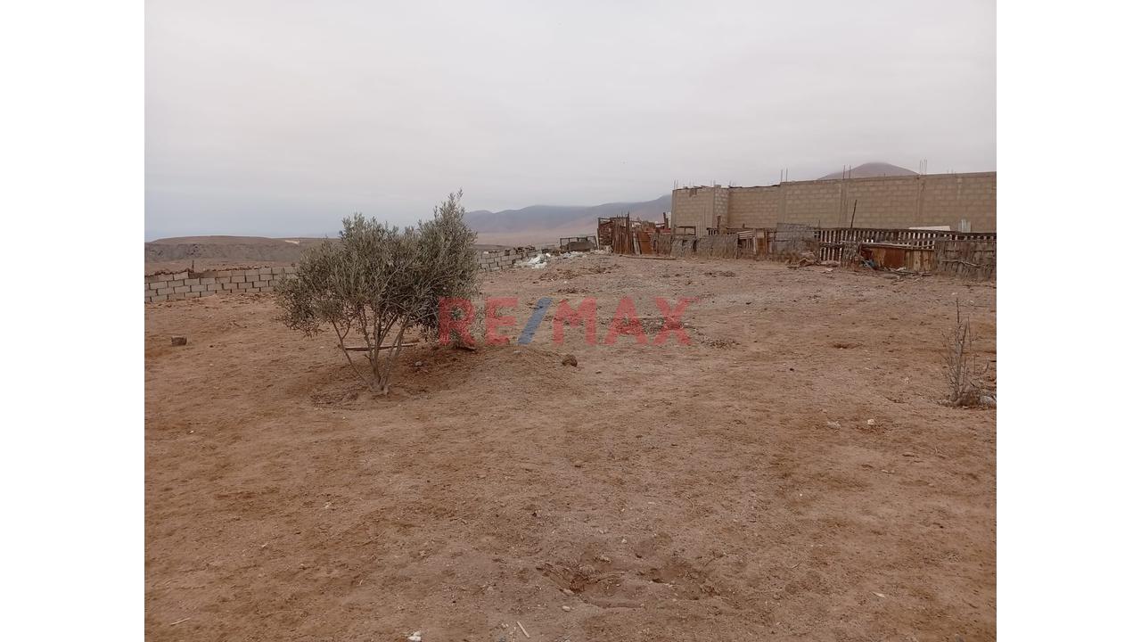 Venta De Terreno Agricola       Area 8,152M2 - 7
