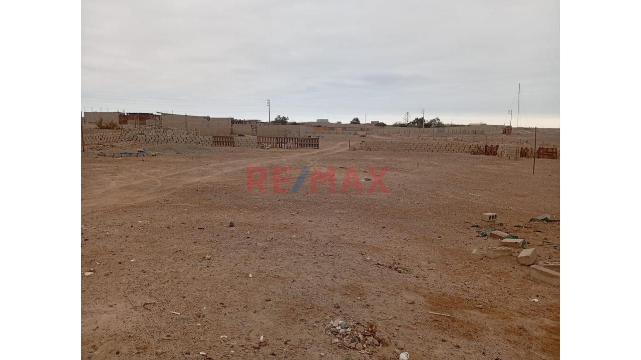 Venta De Terreno Agricola       Area 8,152M2 - 4