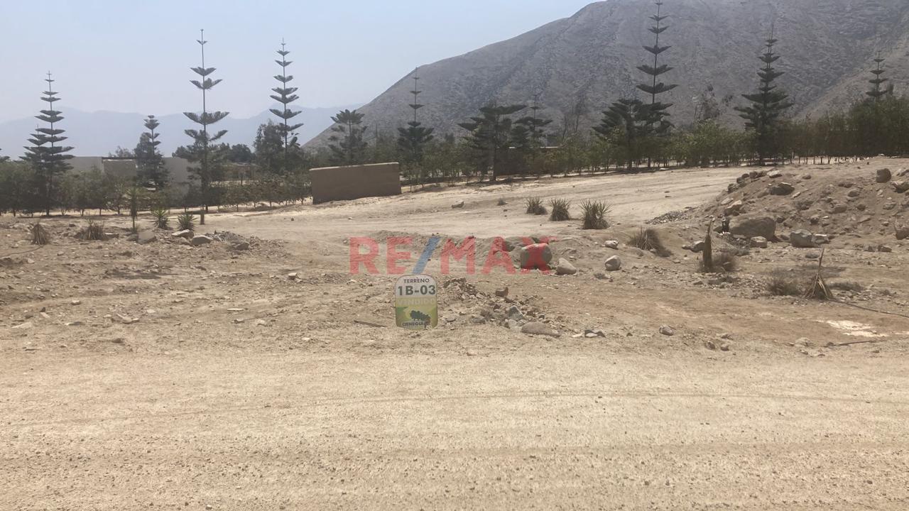 Venta Terreno 501.40 M2 En Cieneguilla, Ubicacion Privilegiada Y Gran Proyecccion — foto 2