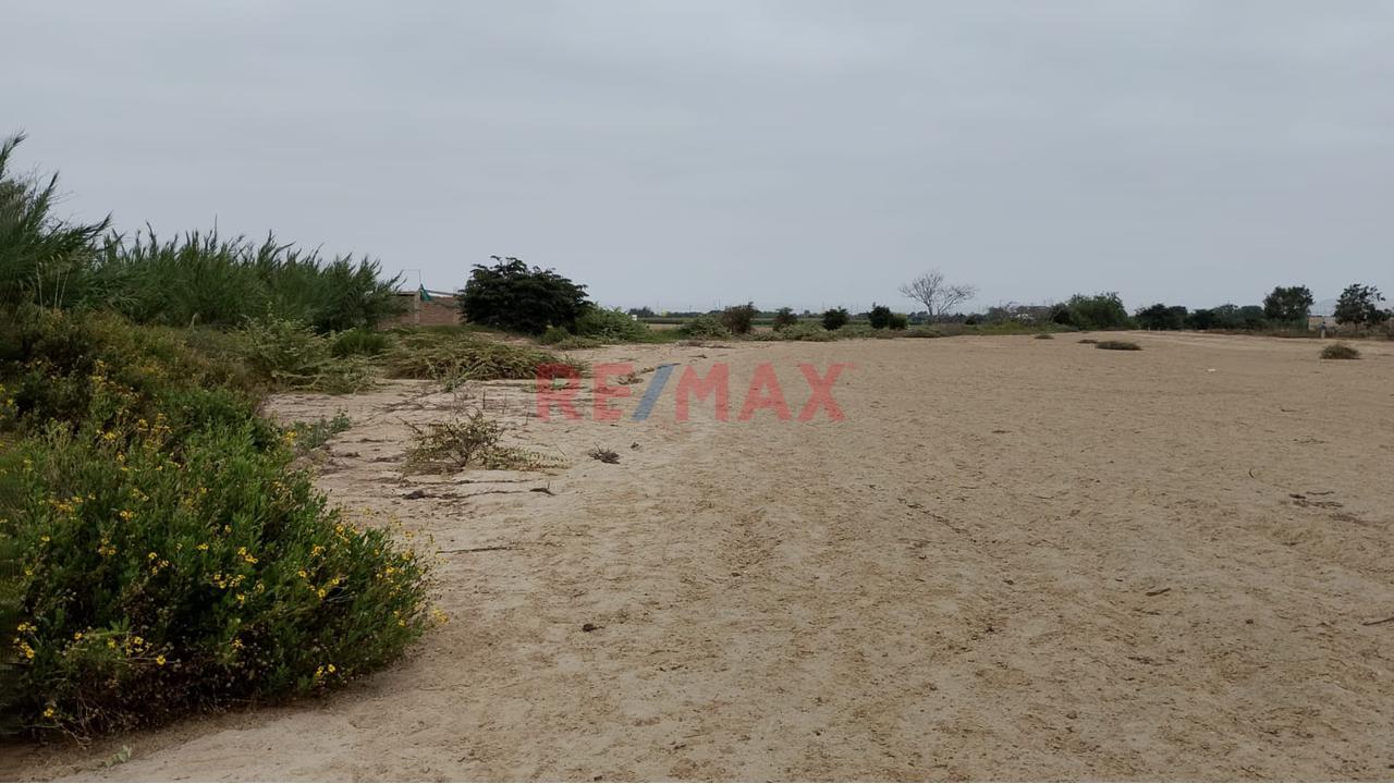 Venta De Un Hermoso Terreno Agricola En El Sector Pacay En La Joya Distrito De Asia Cañete 25000M2 - 3
