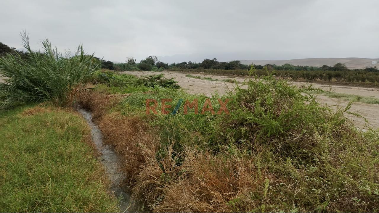 Venta De Un Hermoso Terreno Agricola En El Sector Pacay En La Joya Distrito De Asia Cañete 25000M2 - 5
