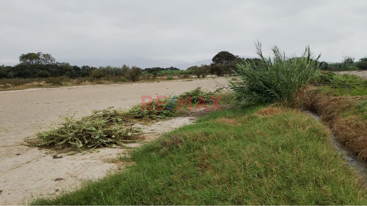 Venta De Un Hermoso Terreno Agricola En El Sector Pacay En La Joya Distrito De Asia Cañete 25000M2 - 4