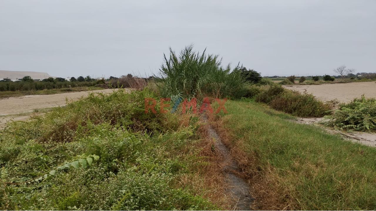 Venta De Un Hermoso Terreno Agricola En El Sector Pacay  En La Joya  Distrito De Asia Cañete 25000M2 - 1