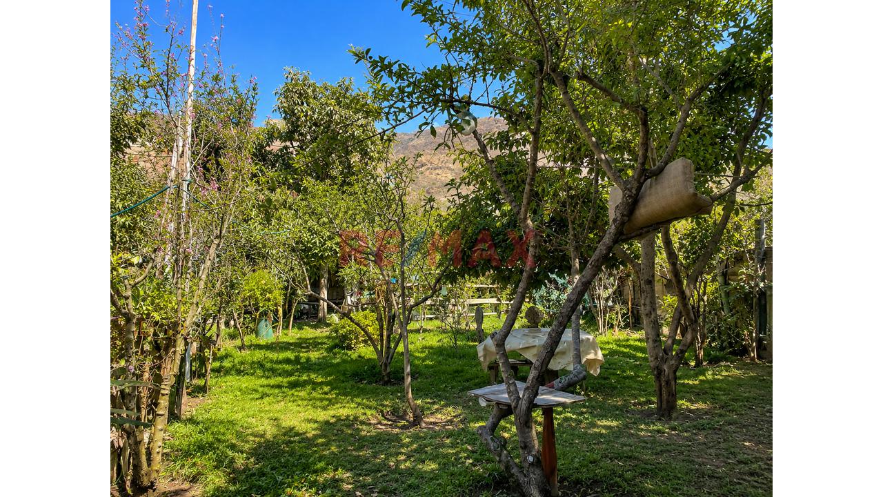 🏡✨ ¡Oportunidad Única En El Valle Sagrado! Casa De Campo En Urubamba – Cusco - 15