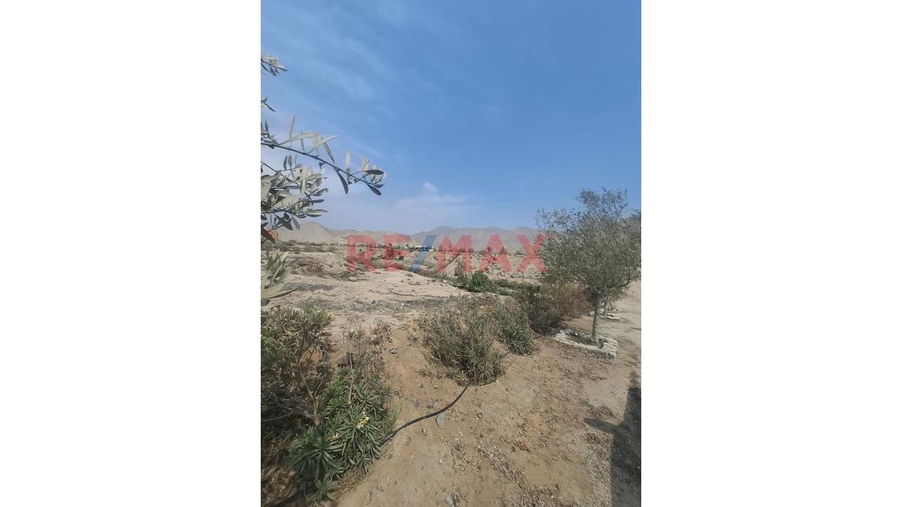 📍 Condominio Las Bahías – Pachacamac