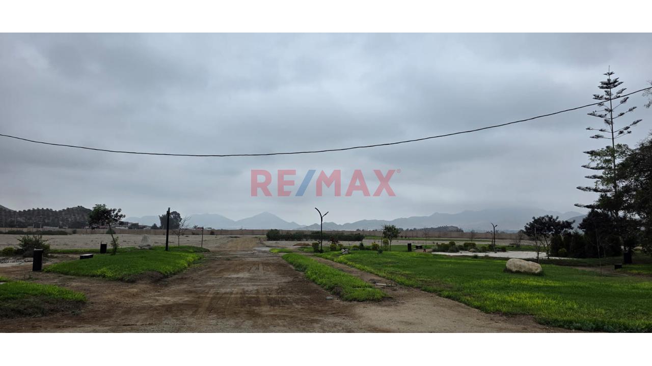 🌸 Terreno En Venta – Condominio Temático Japonés Sakura | Huaral - 4