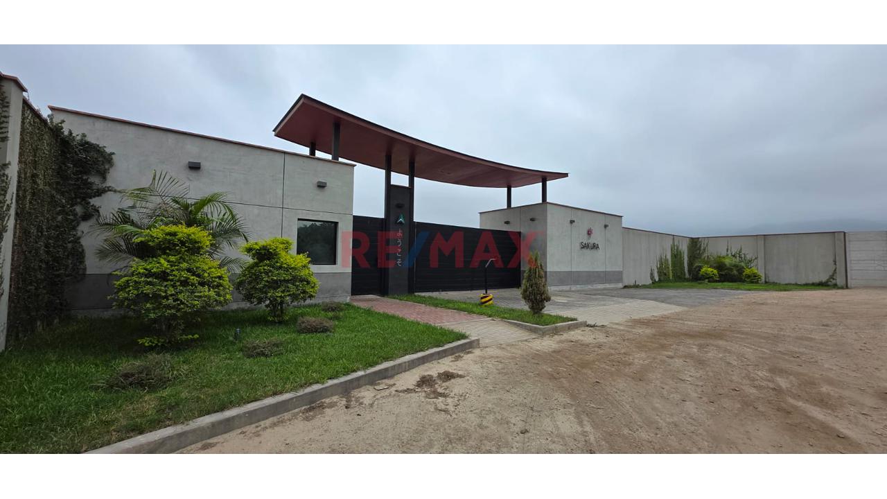 🌸 Terreno En Venta – Condominio Temático Japonés Sakura | Huaral - 13