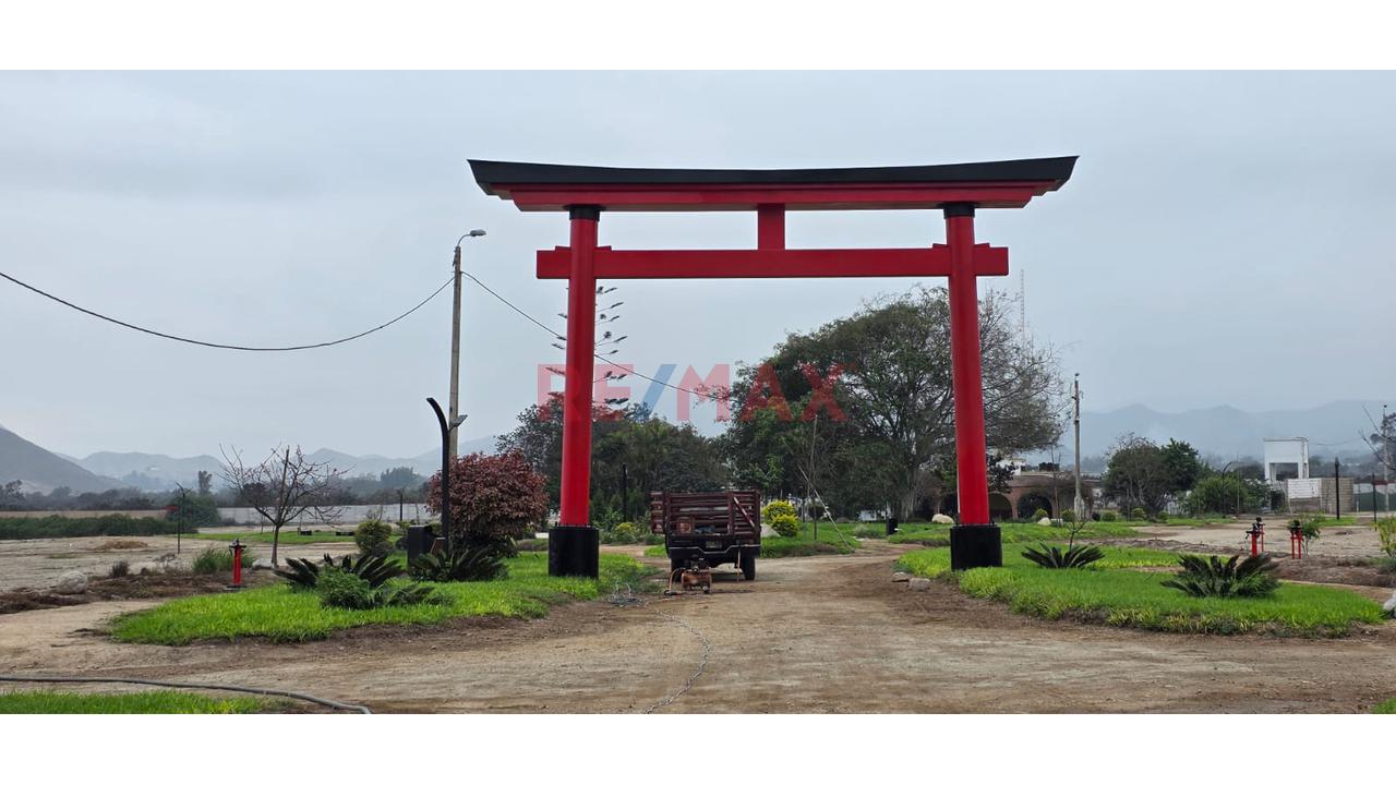 🌸 Terreno En Venta – Condominio Temático Japonés Sakura | Huaral - 10