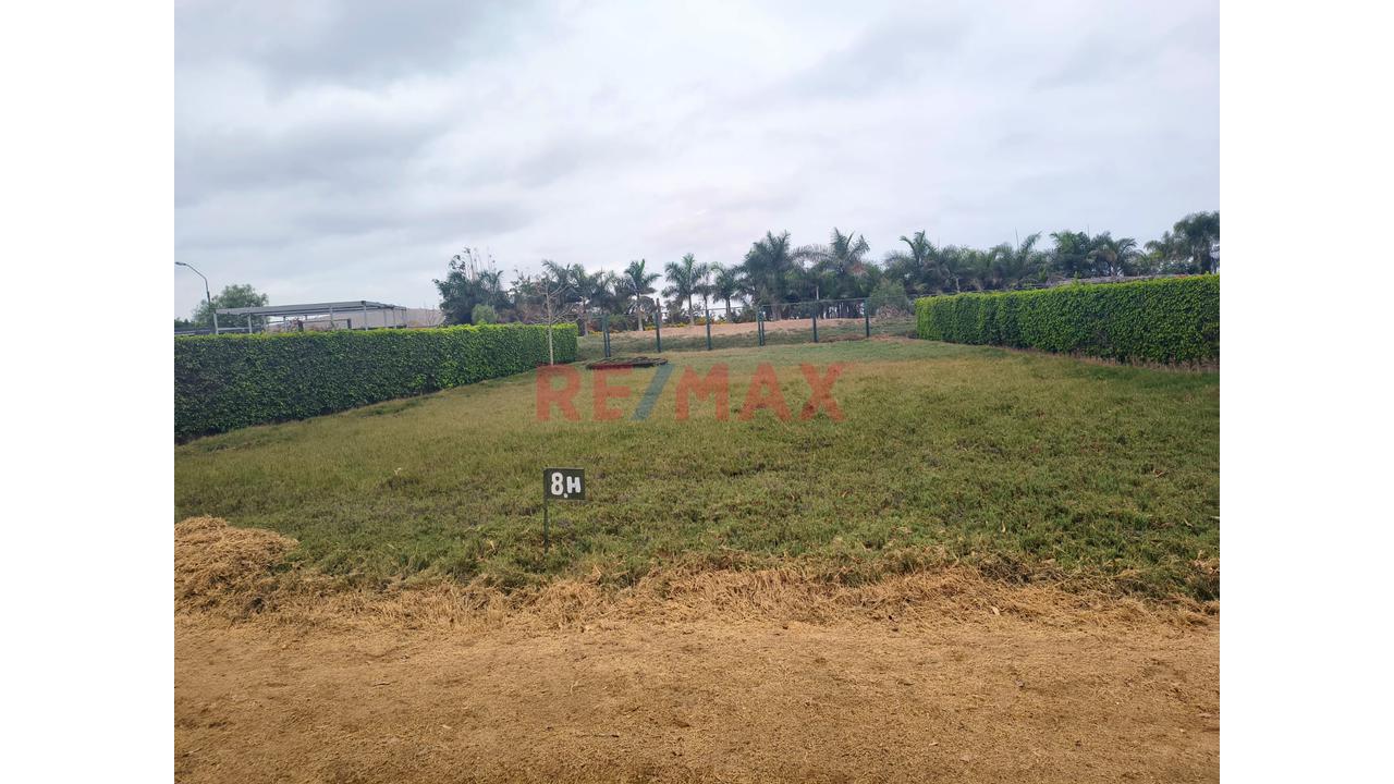 Exclusivo Terreno En Venta En Condominio Eco Villas – Casablanca, Cerro Azul — foto 5