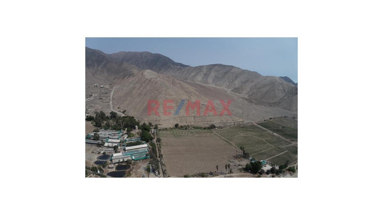Imponente Terreno De 71000M² Hectáreas En Pachacámac: Vista Al Valle, Gran Extensión Y Alto Potencial De Inversión — foto 2