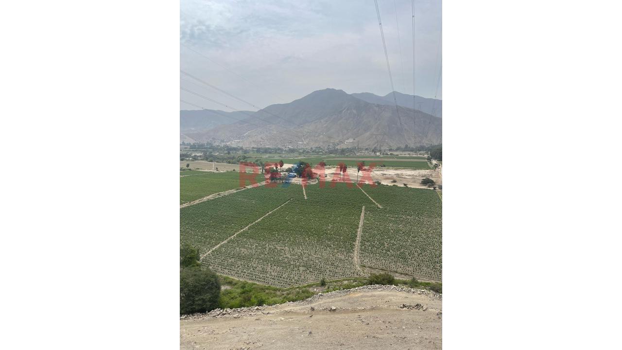 Imponente Terreno De 71000M² Hectáreas En Pachacámac: Vista Al Valle, Gran Extensión Y Alto Potencial De Inversión — foto 8