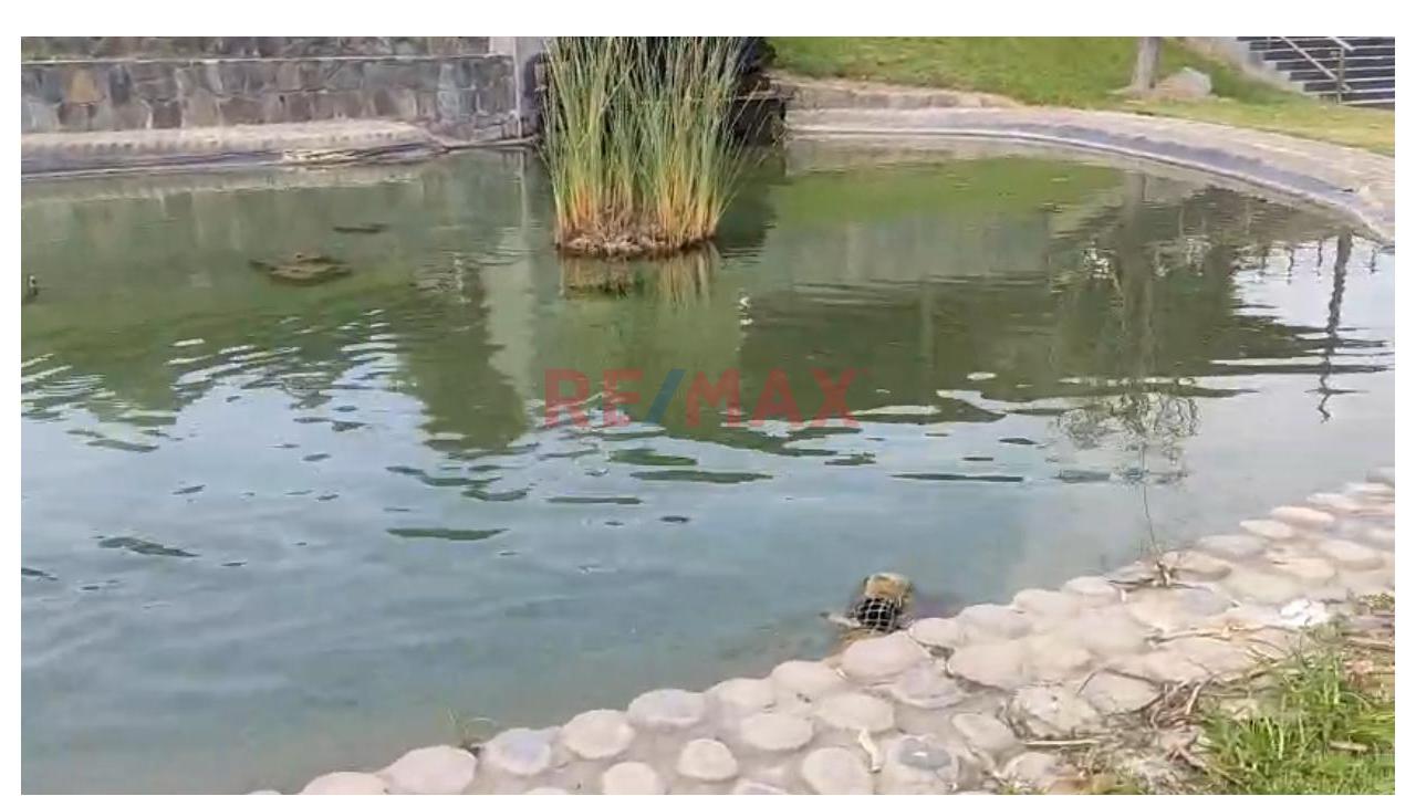 Exclusivo Terreno De 1,026 M² En Condominio Casablanca, Cerro Azul: Vida De Campo Y Playa A Un Paso — foto 9
