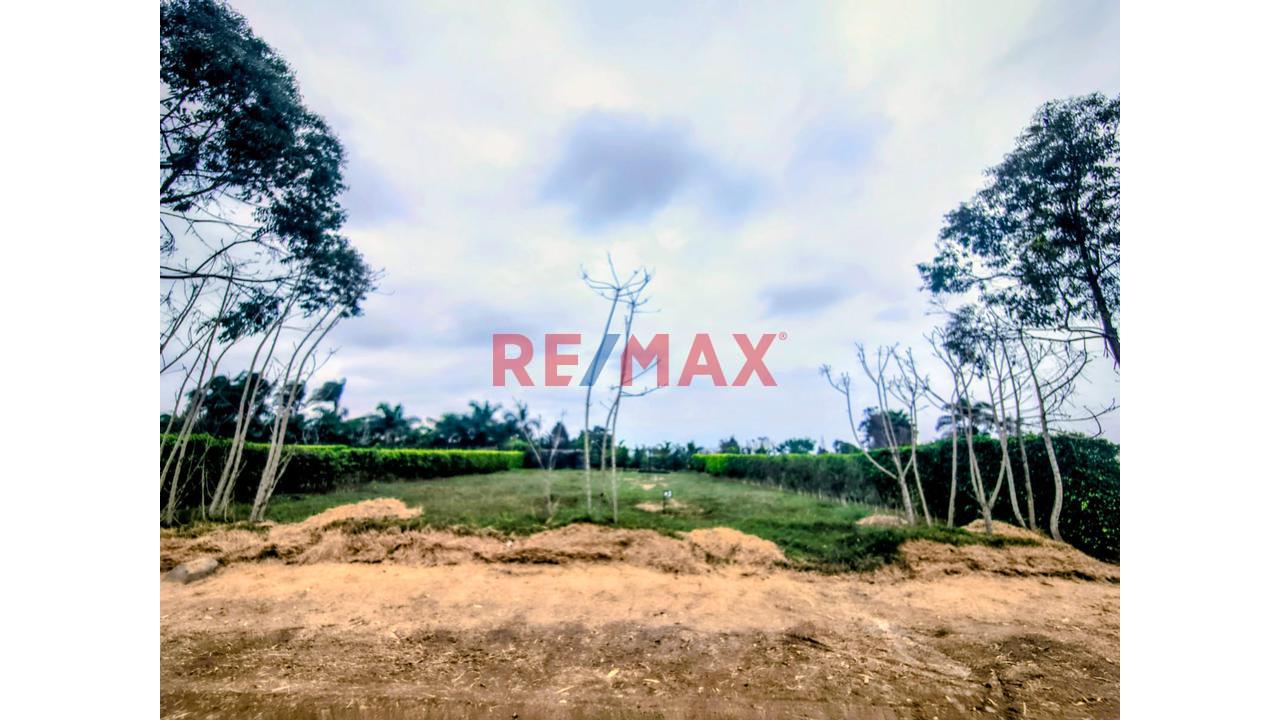 Exclusivo Terreno De 1,026 M² En Condominio Casablanca, Cerro Azul: Vida De Campo Y Playa A Un Paso