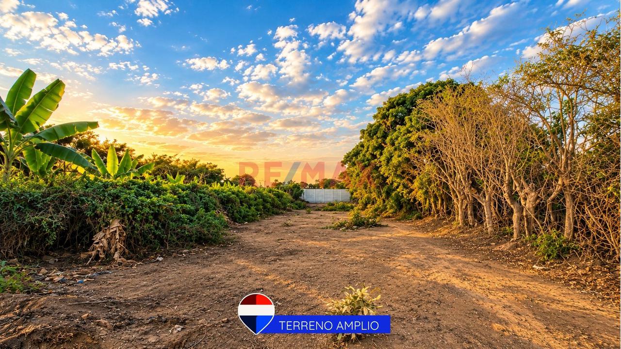 Amplio Terreno En Venta De 1,100 M² Cercado Y Con Portón En Grocio Prado - Chincha - 5
