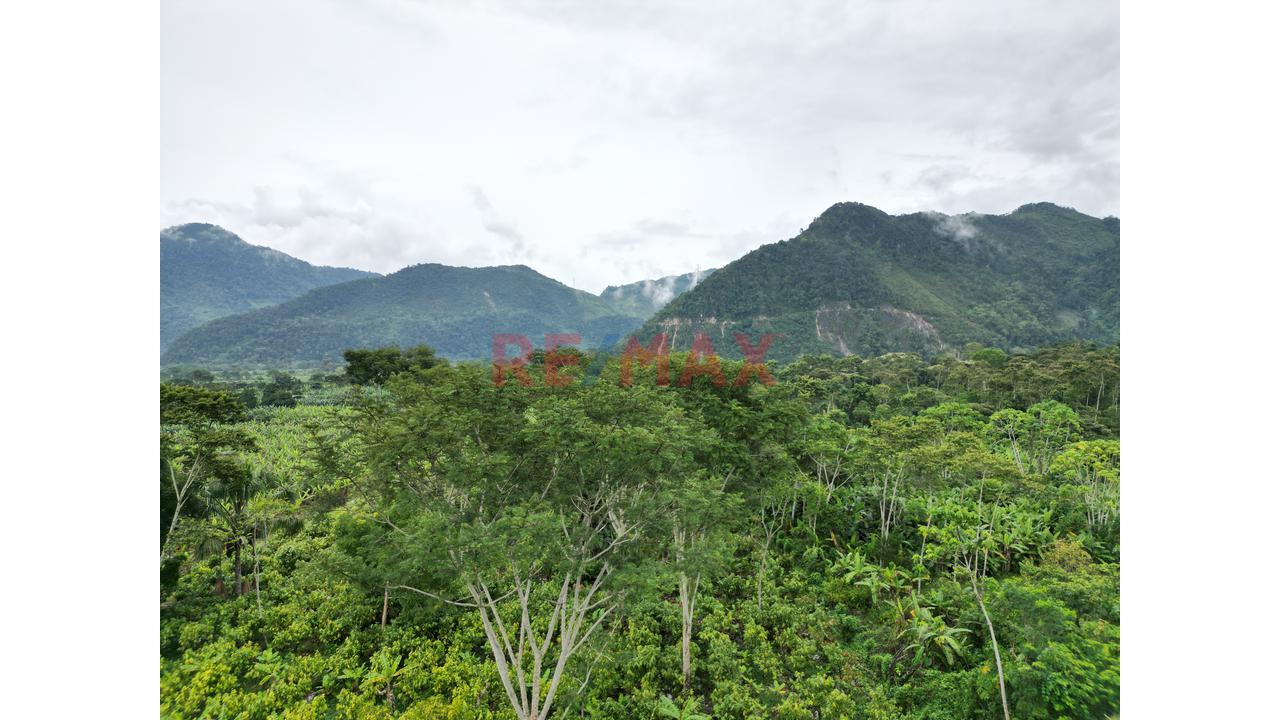 Se Vende Terreno Independizado En Tingomaria / Huanuco - 14