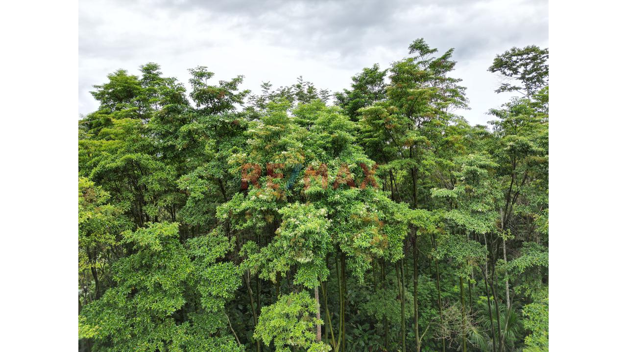 Se Vende Terreno Independizado En Tingomaria / Huanuco - 13