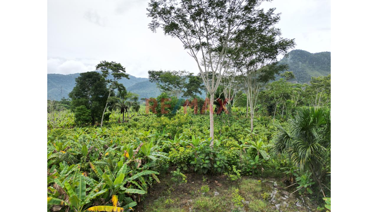 Se Vende Terreno Independizado En Tingomaria / Huanuco - 15