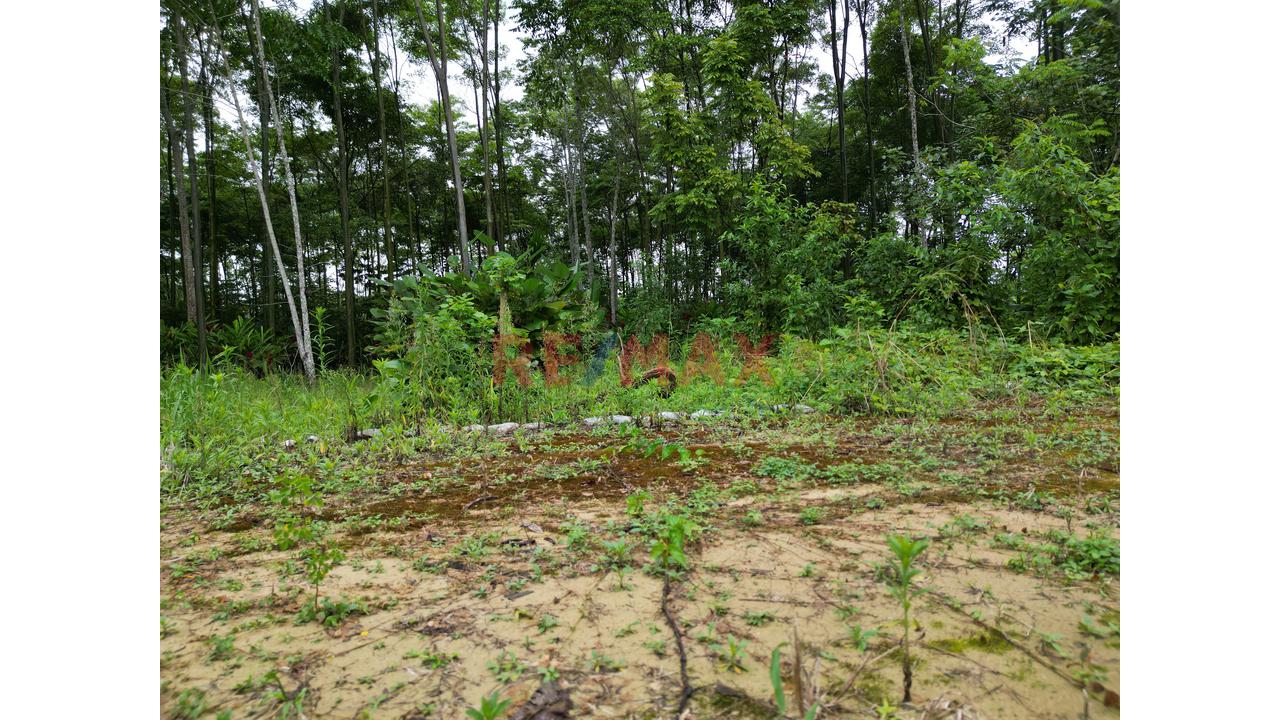 Se Vende Terreno Independizado En Tingomaria / Huanuco - 1